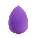 Esponja de maquillaje elegante 22