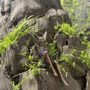 Estátua de fada em resina 17 cm Decoração dourada para o jardim Figura de jardim detalhada Ornamento decorativo para canteiros de flores 2