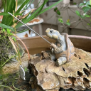 Estátua de resina de tartaruga pescadora 12 x 10 cm Decoração de jardim em forma de tartaruga com cana de pesca Figura pintada à mão Tartaruga 5