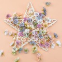 Estrela de ratan decorativa 5