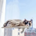 Étagère suspendue avec ventouses pour animaux de compagnie Dimensions 45 x 30 x 17,5 cm 2