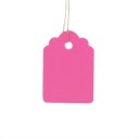 Etichette per piante 100 pz C925 2