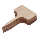 Etichette per piante in vaso 10 pz 2