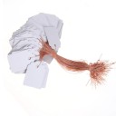 Ετικέτες φυτών 100 τμχ H906 4