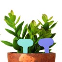 Etiquetas para jardín - 50 piezas 6