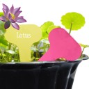 Etiquetas para jardín - 50 piezas 7