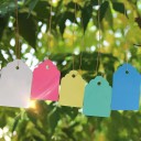 Etiquetas para plantas 100 uds. 2