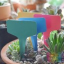 Etiquetas para plantas 50 uds. 3