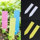Etiquetas para plantas para macetas 100 uds 4
