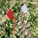 Étiquettes de jardin à enfoncer 3