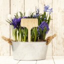 Étiquettes de jardinage pour pots de fleurs 50 pcs 5