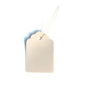 Étiquettes pour plantes 100 pcs 1