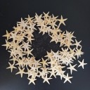 Étoiles de mer miniatures décoratives 100 pcs 3