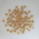 Étoiles de mer miniatures décoratives 100 pcs 4