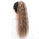 Extensions à clip 6