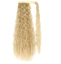 Extensions à clip 10