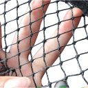 Fågelskyddsnät svart 1 x 10 m Nät 3 x 3 cm Starkt och lätt nät för fruktträd, buskar, vingårdar, växthus och rabatter Växtskydd mot skadedjur 2