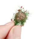 Faixa de flores em modelo 9 x 1 x 0,6 cm Grupos de flores miniatura Decoração de jardim para diorama Paisagem em modelo 1
