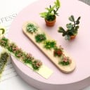 Faixa de flores em modelo 9 x 1 x 0,6 cm Grupos de flores miniatura Decoração de jardim para diorama Paisagem em modelo 5