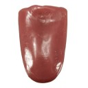 Fake Tongue 4