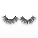 False Eyelashes 4