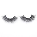 False Eyelashes 7