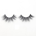 False Eyelashes 12
