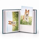 Familienfotoalbum für 100 Fotos 10 x 15 cm Größe 20,5 x 16,5 x 5 cm PVC Goldverzierung Einschubtaschen Für Familienfotos 3
