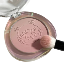 Fard à joues en poudre 4 g Dégradé double Maquillage illuminant pour les joues Fard à joues pressé doux pour mettre en valeur les traits du visage 2