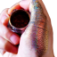 Fard de pleoape pigmentat crom strălucitor Ambalaj compact 10