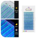 Farebné UV svietiace umelé riasy D skrútenie 8–14 mm hrúbka 0,07 mm Neonové individuálne lepiace riasy objemné predĺženie 7