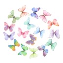 Farfalle decorative in organza 50 pz 1