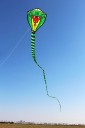 Färgglad flygande drake i form av en orm 70 x 80 cm med 8 m lång svans Lätt polyester utomhusdrake för barn och vuxna 4