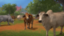 Farming Simulator 17 Platinum Edition PC Steam CD Key CD klíč 6