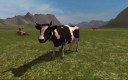 Farming Simulator 2011 PC Steam CD Sleutel CD sleutel voor het spel 4