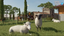 Farming Simulator 22 Platinum Edition PC Steam CD Kulcs 5