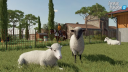 Farming Simulator 22: Premium Edition PC Steam CD Key CD klíč 6