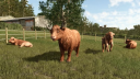 Farming Simulator 25: Highlands Fishing Edition PC Steam CD Key CD klíč 3