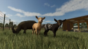 Farming Simulator 25: Highlands Fishing Edition PC Steam CD Key CD klíč 5