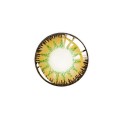 Farvede kontaktlinser P3945 5