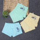 Farverige boxershorts til drenge J3493 4