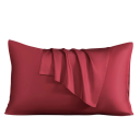 Farvet silkepudebetræk 50x65 cm Naturmateriale Blød overflade Hår- og hudbeskyttelse Elegant design til soveværelset 3