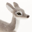 Fawn Decoration 6