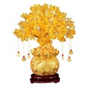 Feng Shui Geldboom 1