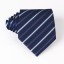 Férfi nyakkendő T1203 20