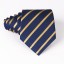 Férfi nyakkendő T1203 4