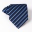 Férfi nyakkendő T1203 54