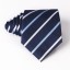 Férfi nyakkendő T1203 55