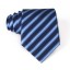Férfi nyakkendő T1203 5