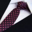 Férfi nyakkendő T1208 14